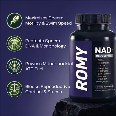 NAD+ Fertility