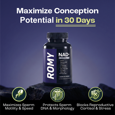 NAD+ Fertility