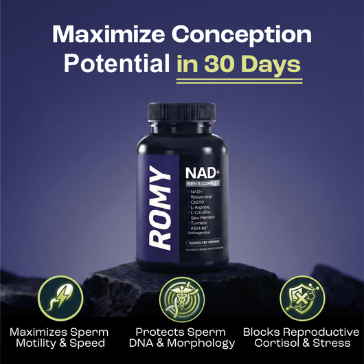 NAD+ Fertility