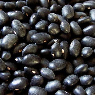 Black Soybean Extract